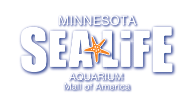 SEA LIFE Minnesota Aquarium