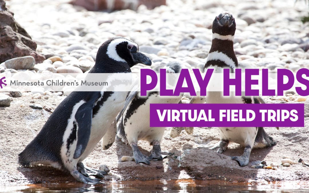 Take a Trip to the Virtual Zoo