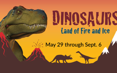 “Dinosaurs: Land of Fire and Ice™” Roars Back to Minnesota Children’s Museum May 29